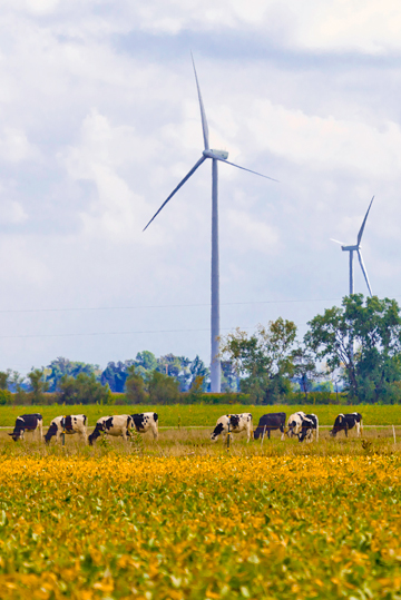 Blue Creek Wind Farm in Van Wert County