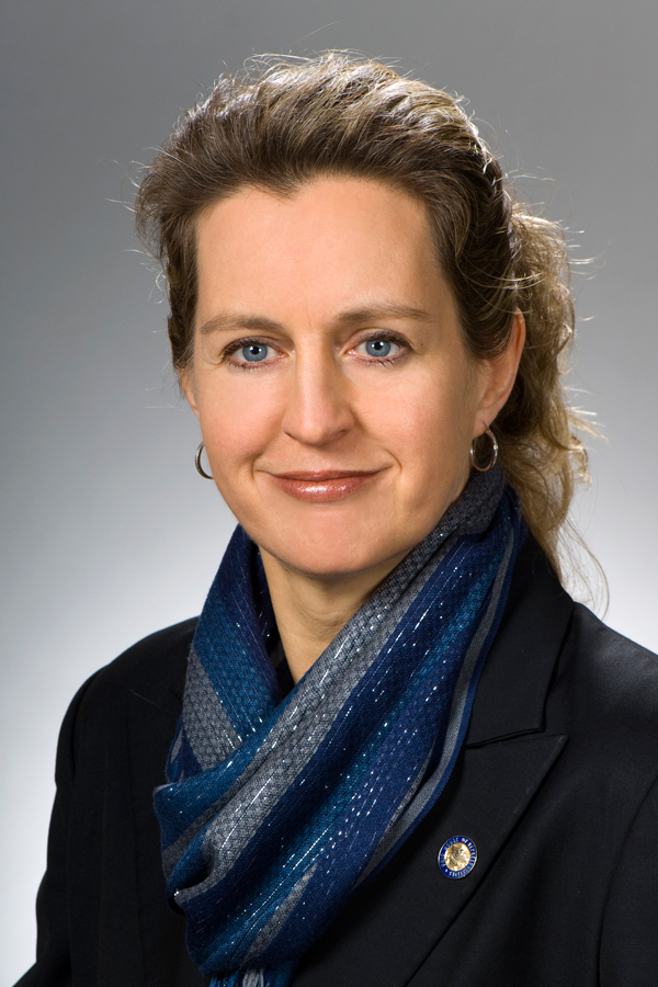 Kristina Roegner, Ohio House of Representatives